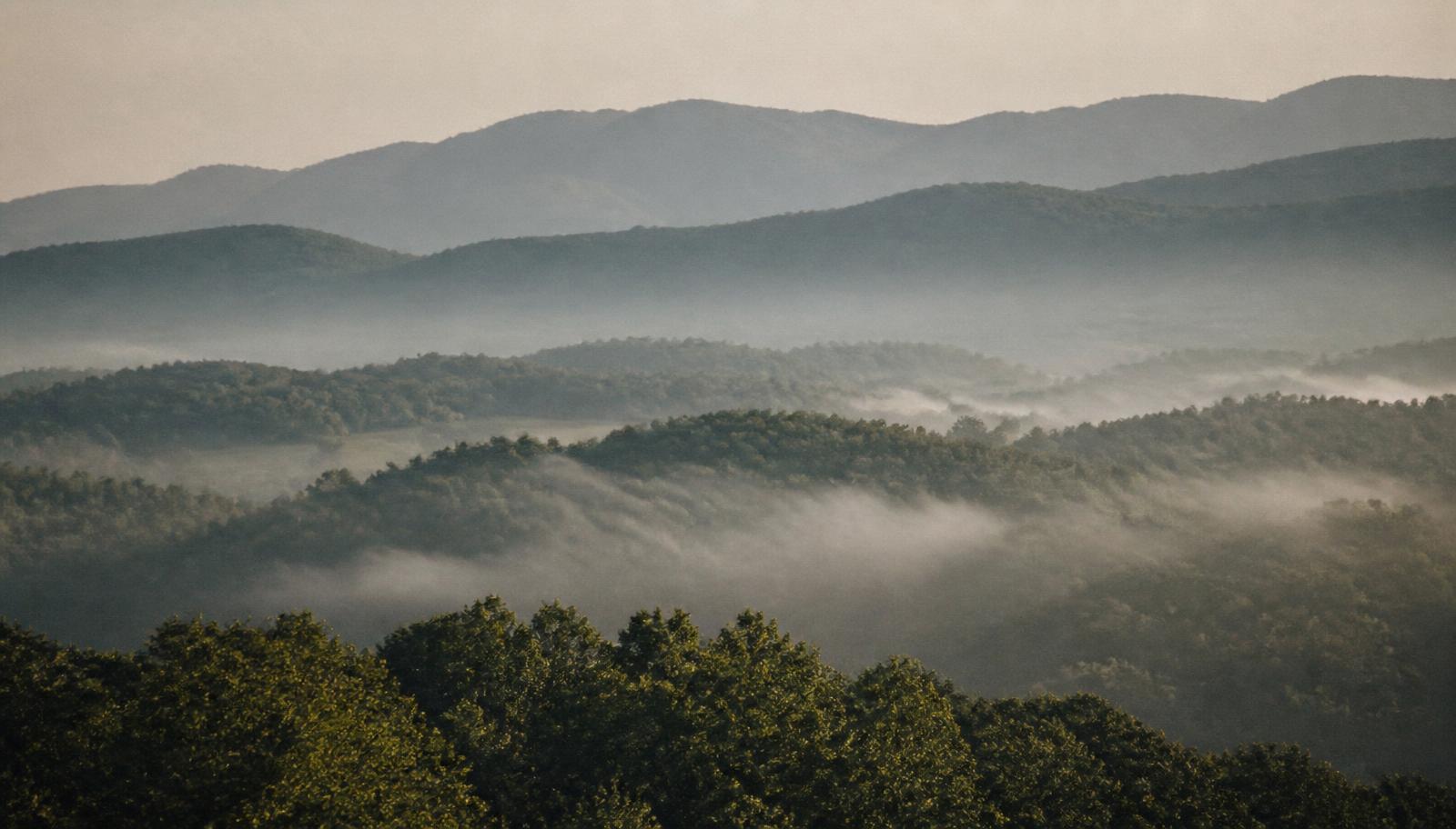 Layered wooded ridgelines of the Blue Ridge foothills in early morning haze